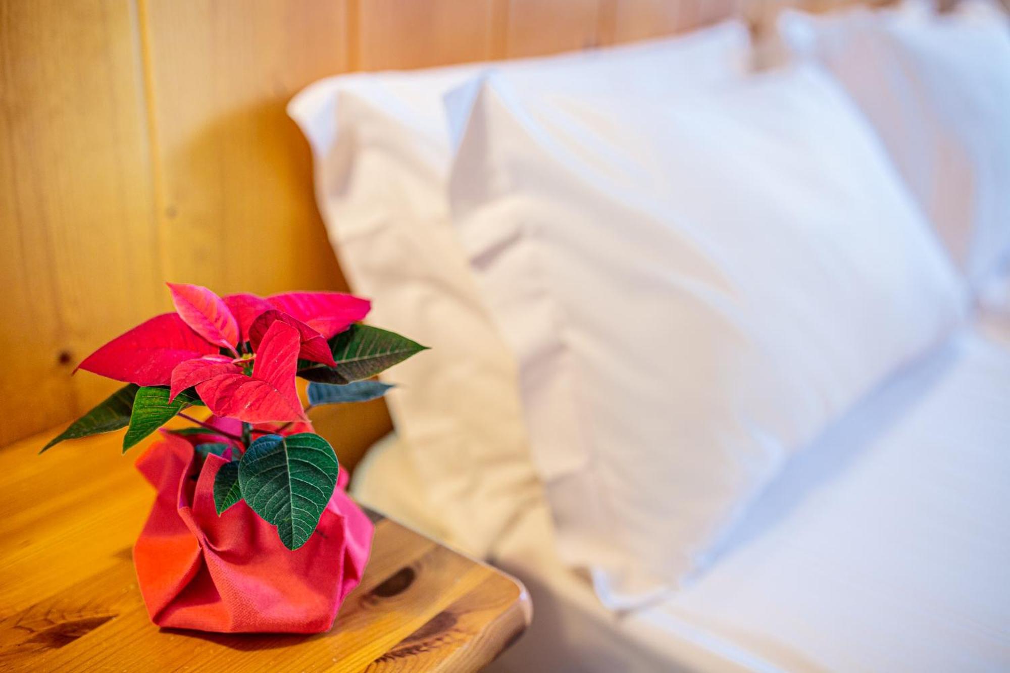Hotel Nigritella Selva di Cadore Esterno foto